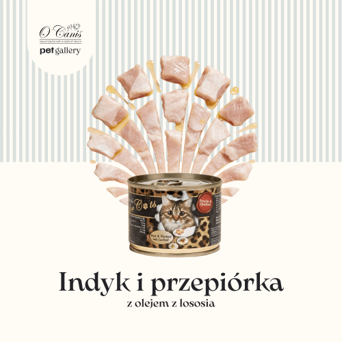 Cats indyk i przepiórka 1 (1).png