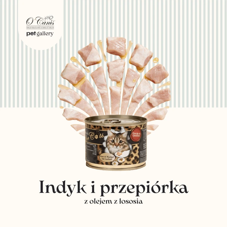 Cats indyk i przepiórka 1 (1).png