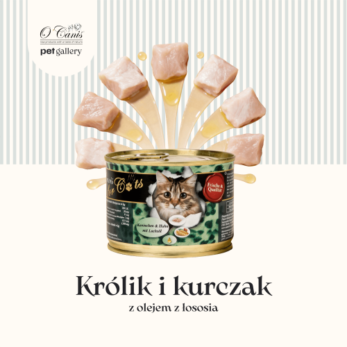 Cats królik i kurczak 1.png