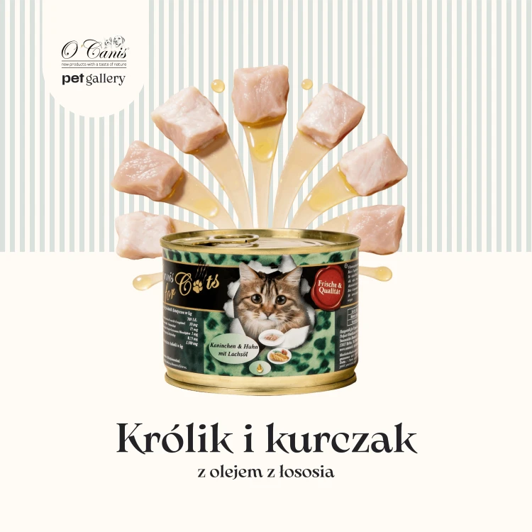 Cats królik i kurczak 1.png
