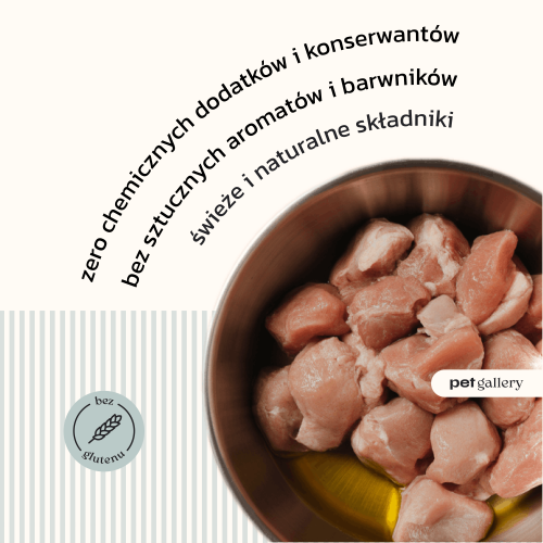 Cats królik i kurczak 2.png