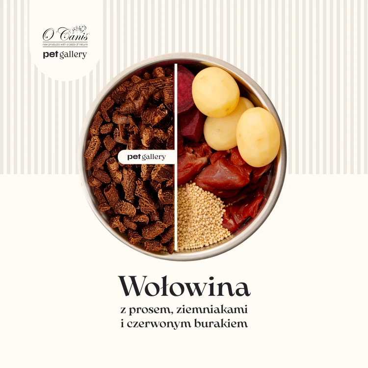 Wolowina z prosem, ziemniakiem i burakiem 1.png