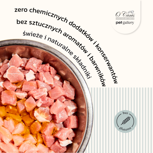Kot krolik kurczak - 400 2.png