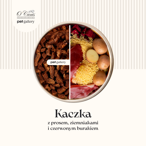 Kaczka z prosem, ziemniakami i burakiem 1.png