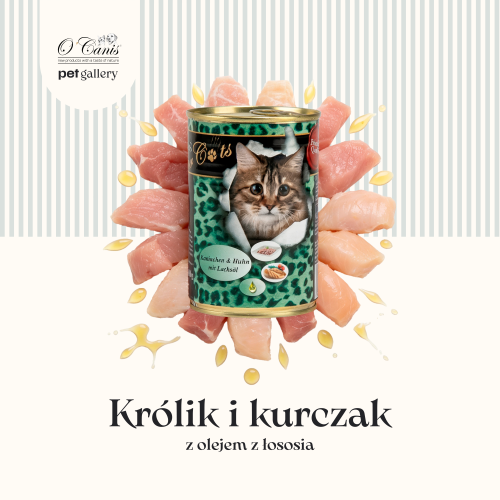 Kot Królik i kurczak - 400 1.png
