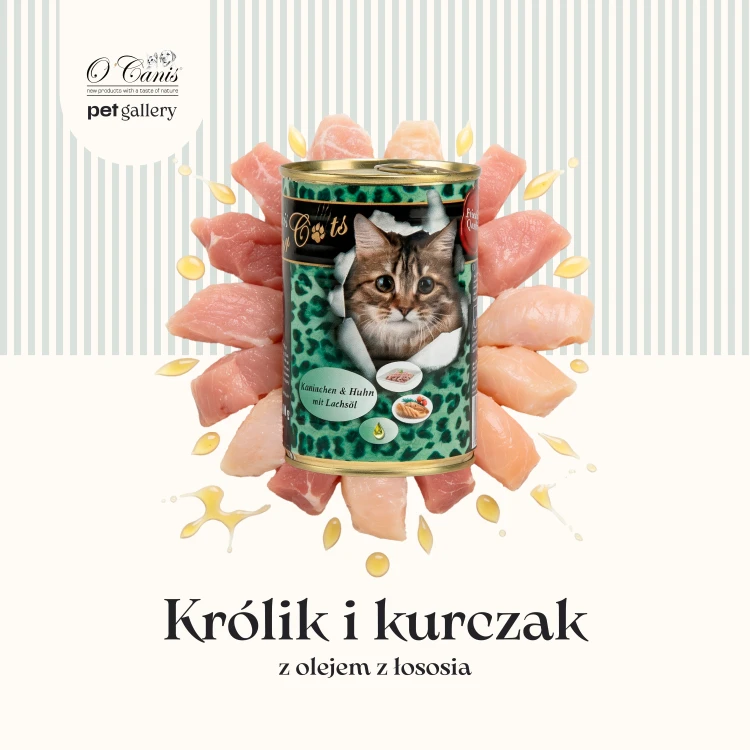 Kot Królik i kurczak - 400 1.png
