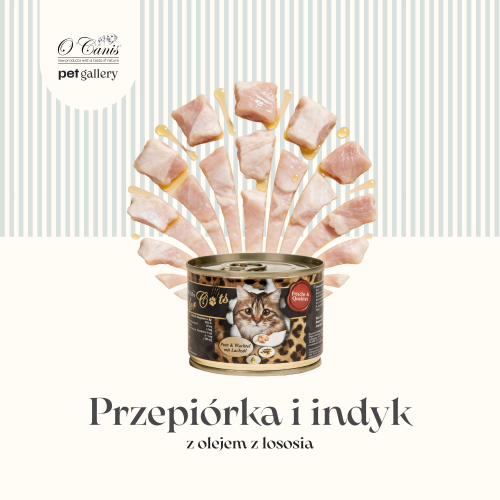 Kot Przepiórka i indyk.png
