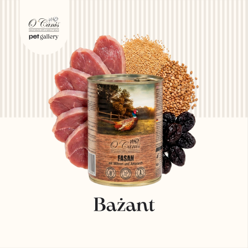 Bażant - 800 1.png