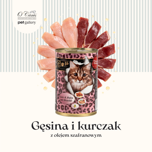Kot  gęsina i kurczak z olejem 400.png
