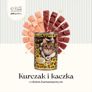 Kot kurczak i kaczka - 400 1.png