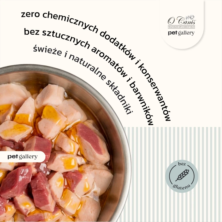 Kot kurczak i kaczka - 400 2.png