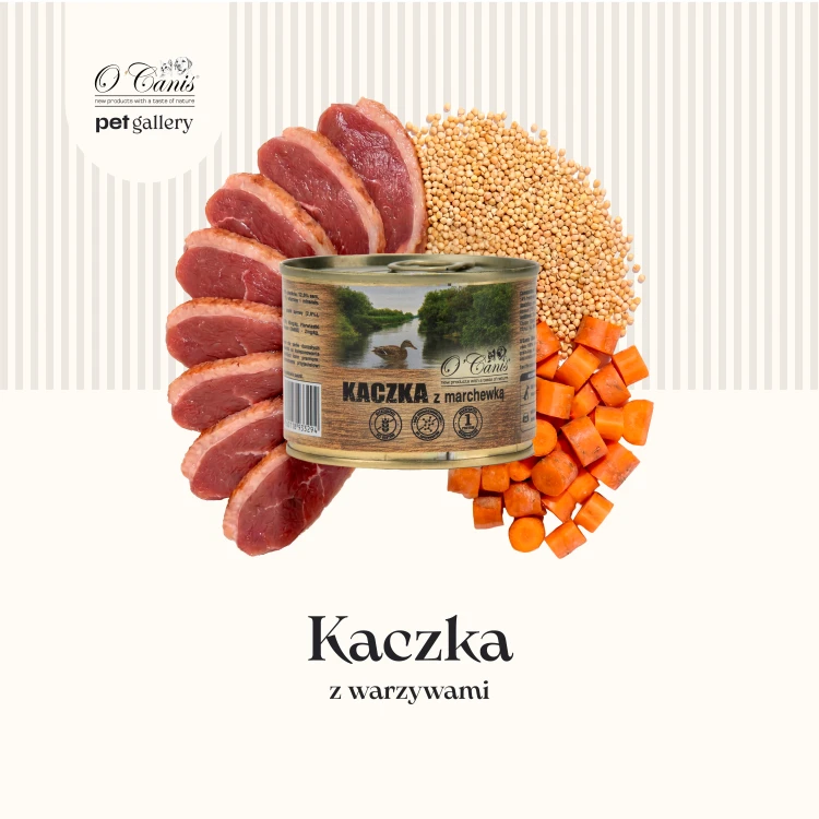 Kaczka z warzywami 200 - 1.png