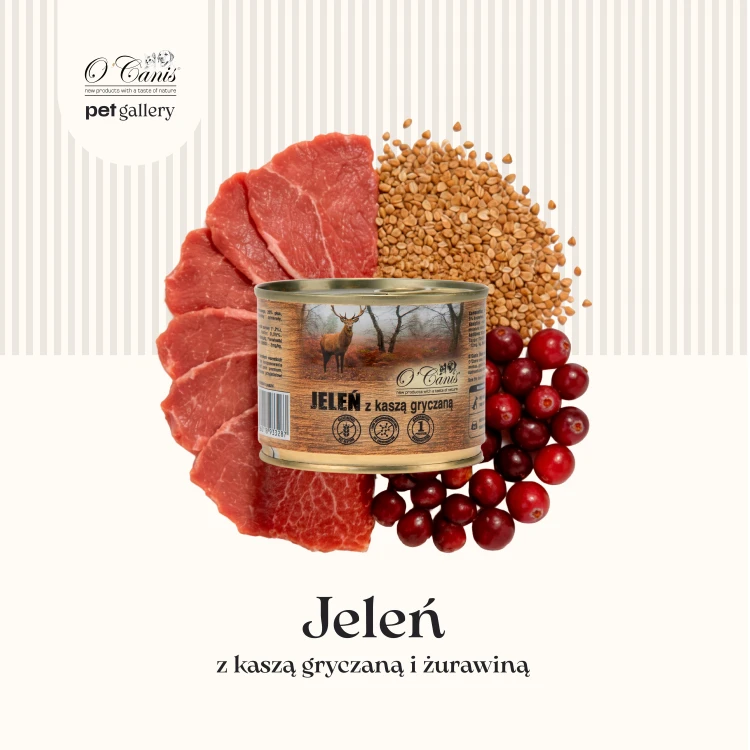 Jelen 200 - 1.png